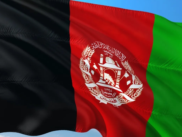 阿富汗海关数据查询平台（附免费试用查询）